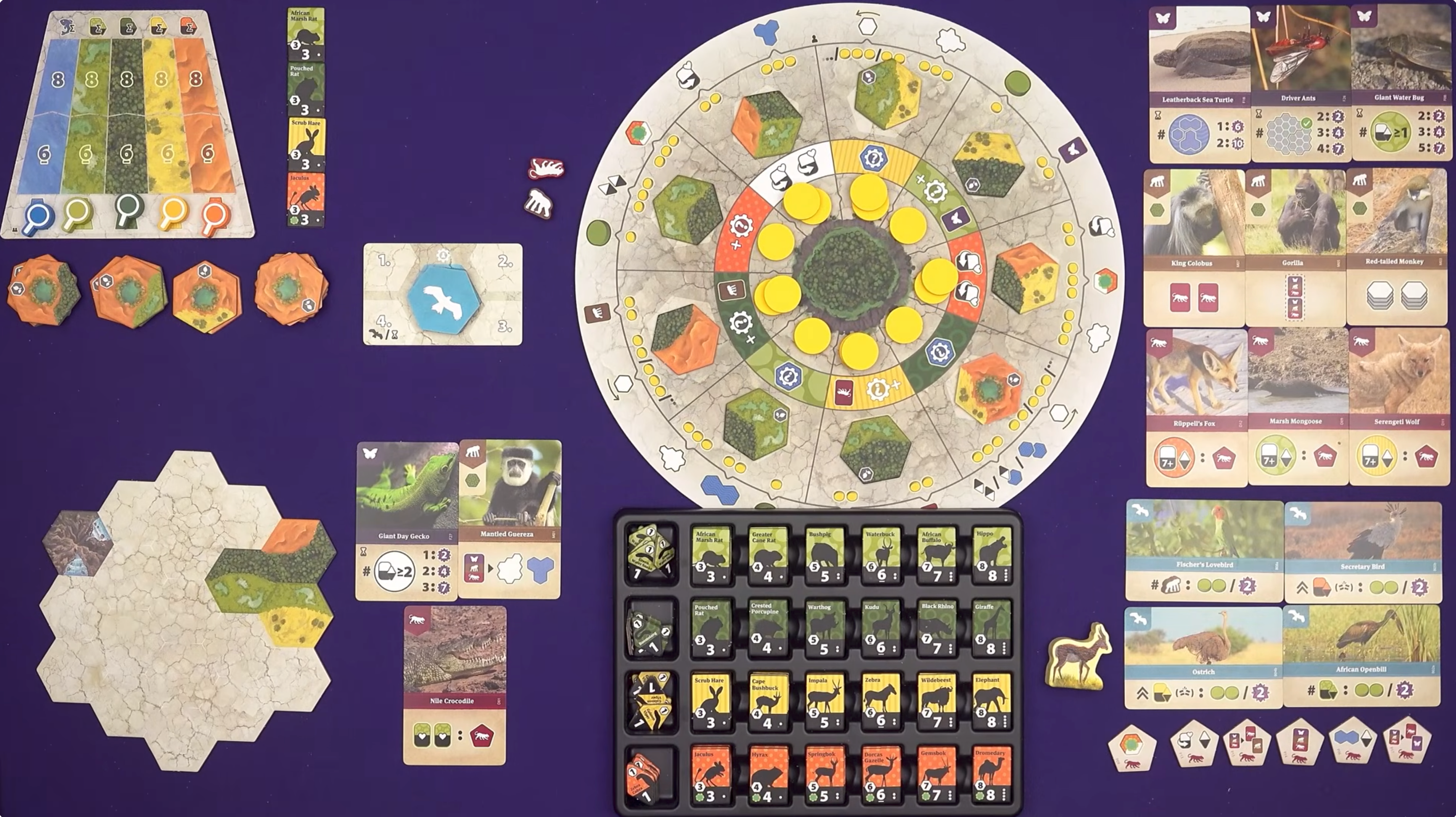 Load video: Slickerdips solo playthrough of Wildscape